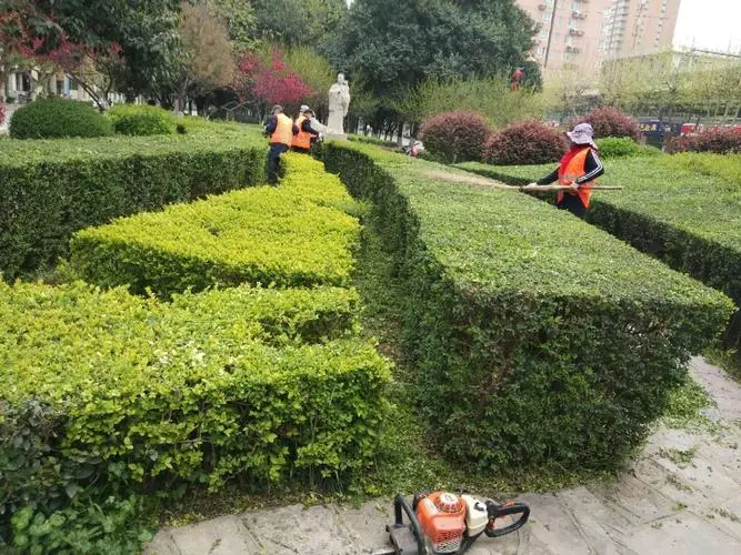 户外三角形园林景观设计